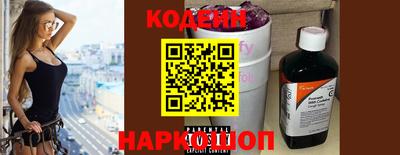apvp Кунгур