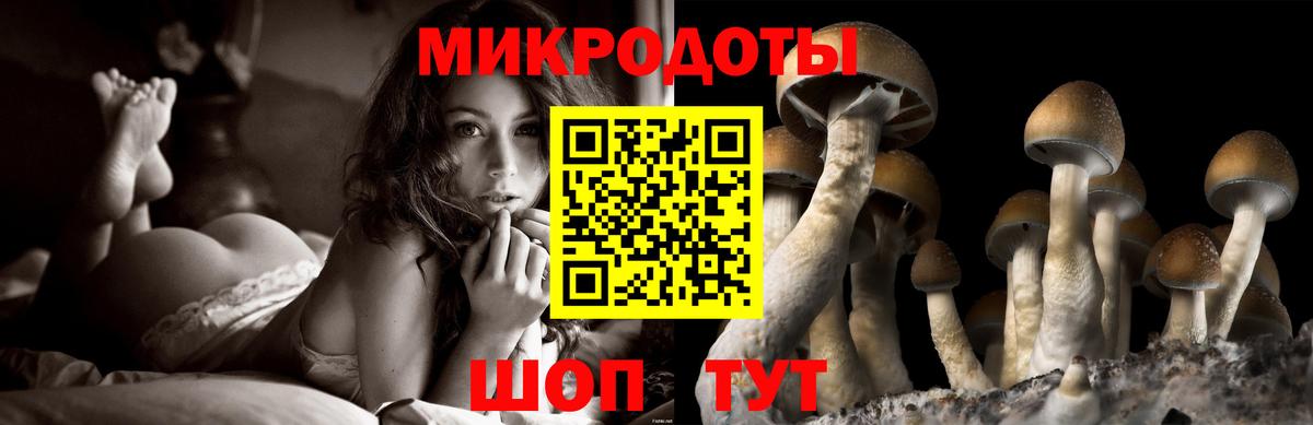 Елизово  Псилоцибиновые грибы прущие грибы  Галлюциногенные грибы ЛСД  Вход с VPN 